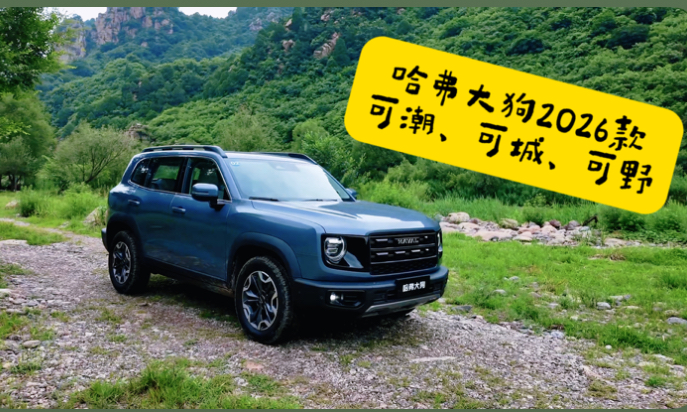 哈弗大狗2026款，可潮、可城、可野