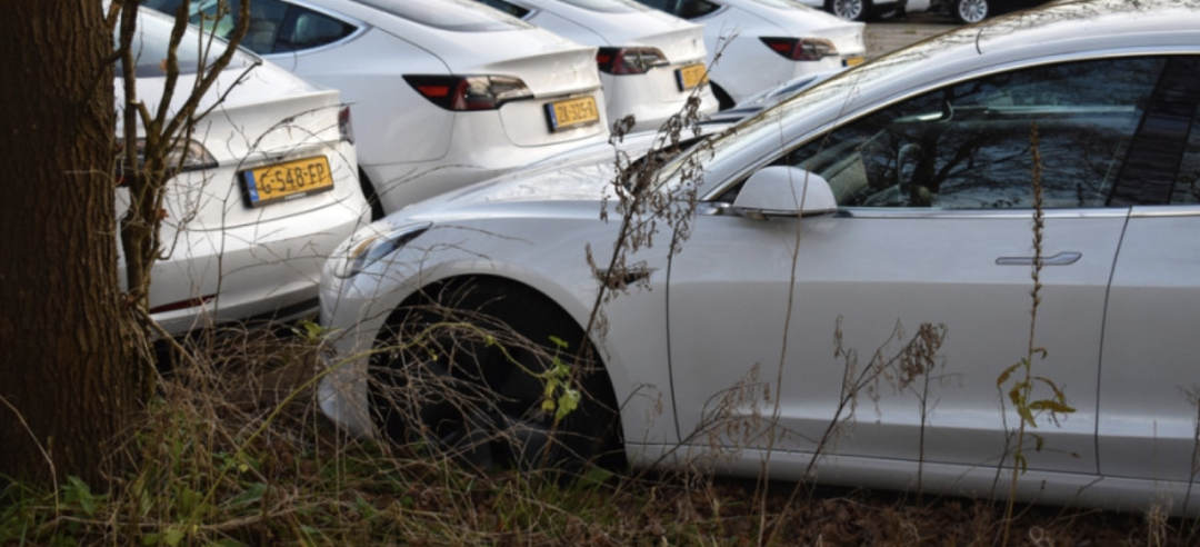 “纯血”特斯拉车队，赔到血本无归